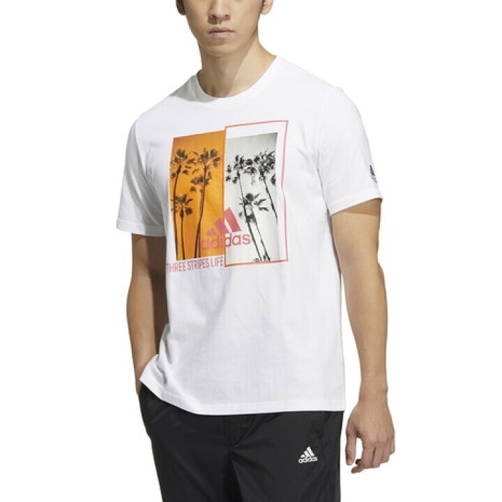 【新品特価!】アディダス(adidas)(メンズ)Tシャツ メンズ 半袖 ツリーフォト HN0400/ パープル / サイズL拍卖