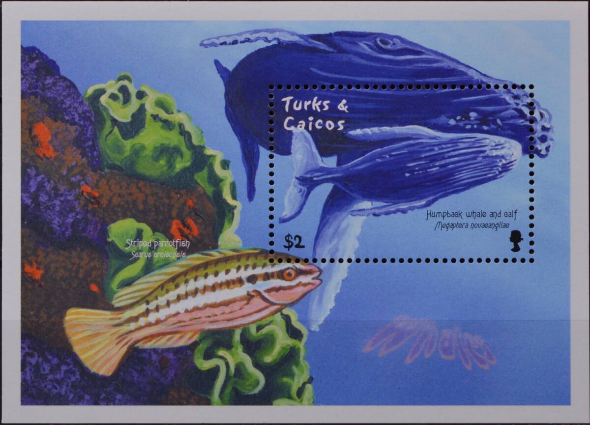 「TF17」タークス・カイコ島切手 クジラ・魚拍卖