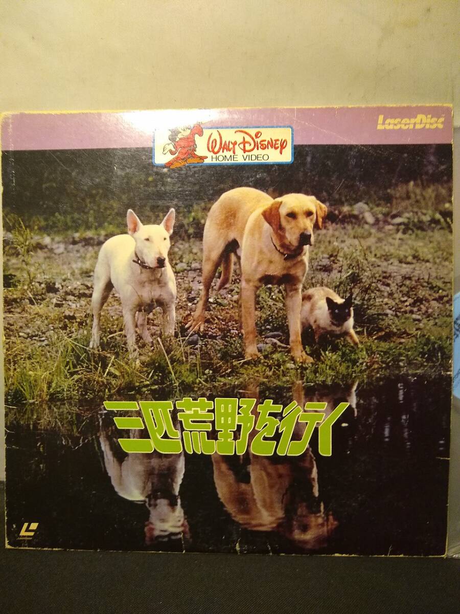 R7457 LD・レーザーディスク 三匹荒野を行く ディズニー拍卖