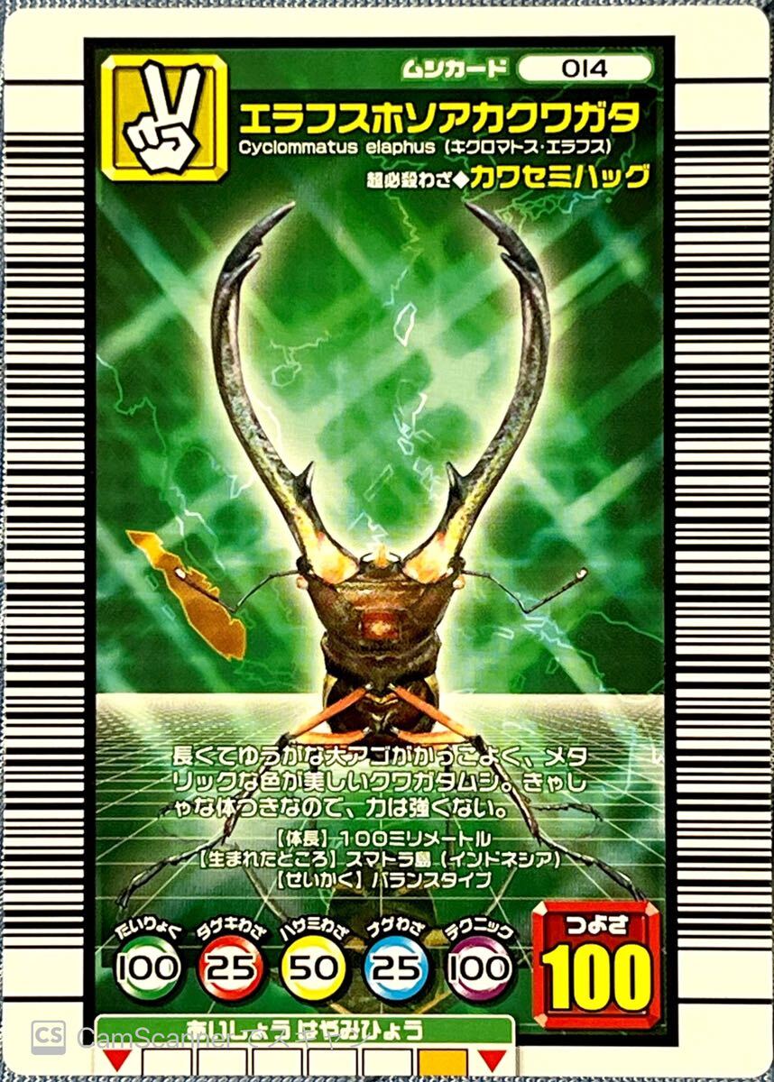 ☆ 甲虫王者ムシキング 2005セカンド エラフスホソアカクワガタ (014) ☆拍卖