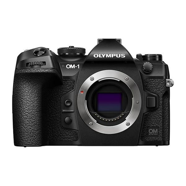 中古 1年保証 美品 OLYMPUS OM SYSTEM OM-1 ボディ拍卖