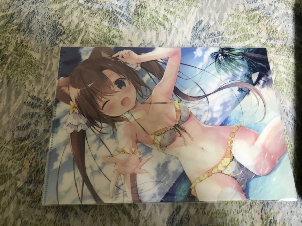d236クリアファイル 宮坂みゆ /CANVAS+GARDEN 電撃萌王2020年10月号 メロンブックス特典 水着拍卖