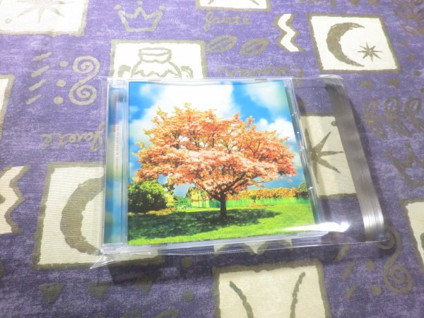 ★ケース新品★ハナミズキ 一青窈 火曜サスペンス劇場 4988001988830 COCA15622★拍卖