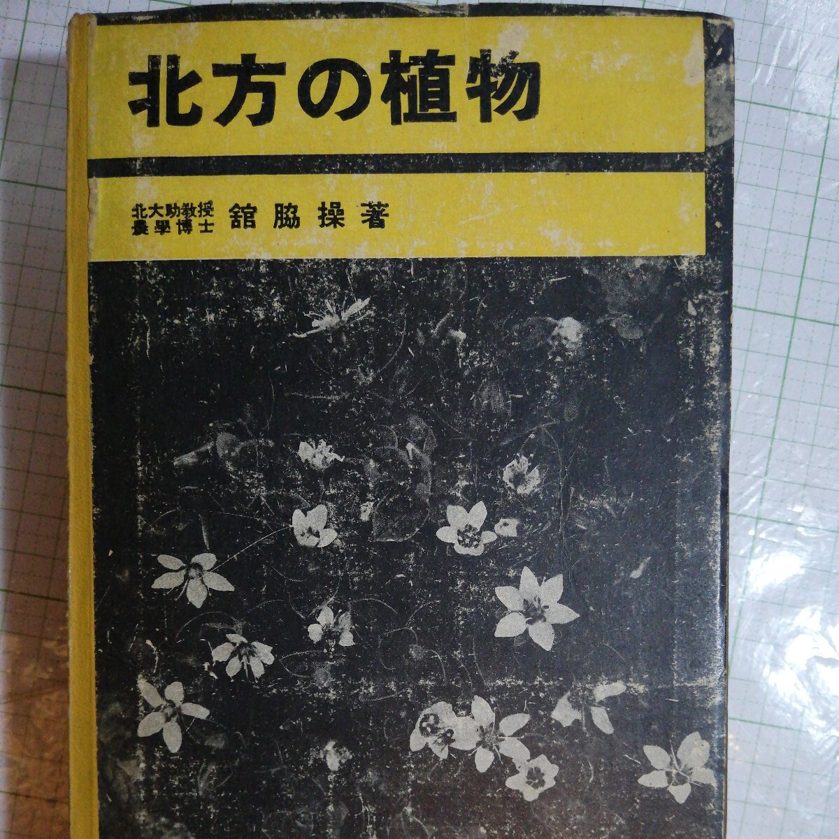 北方の植物 昭和19年 棚 411拍卖