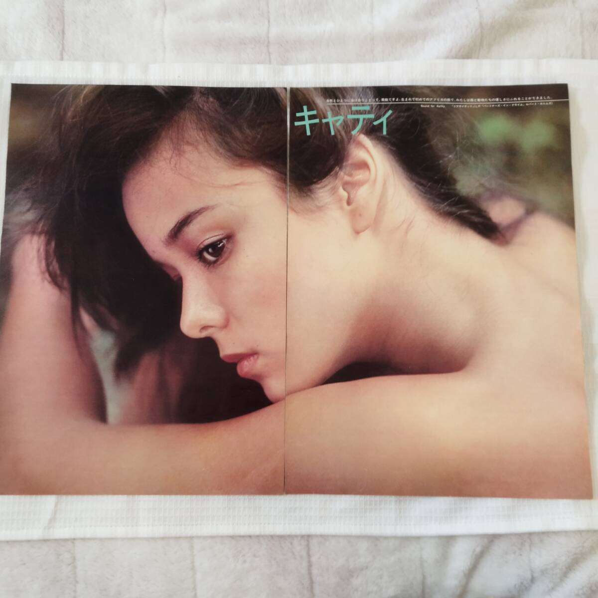 bbk011 キャティ 榊原郁恵 大型 B4サイズ 拍卖