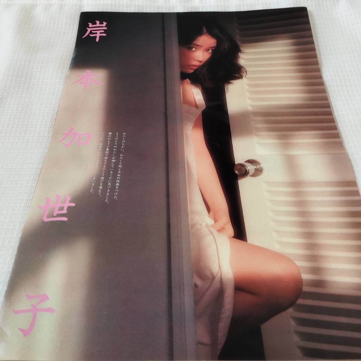 bbk015 岸本加世子 大型 B4サイズ 拍卖