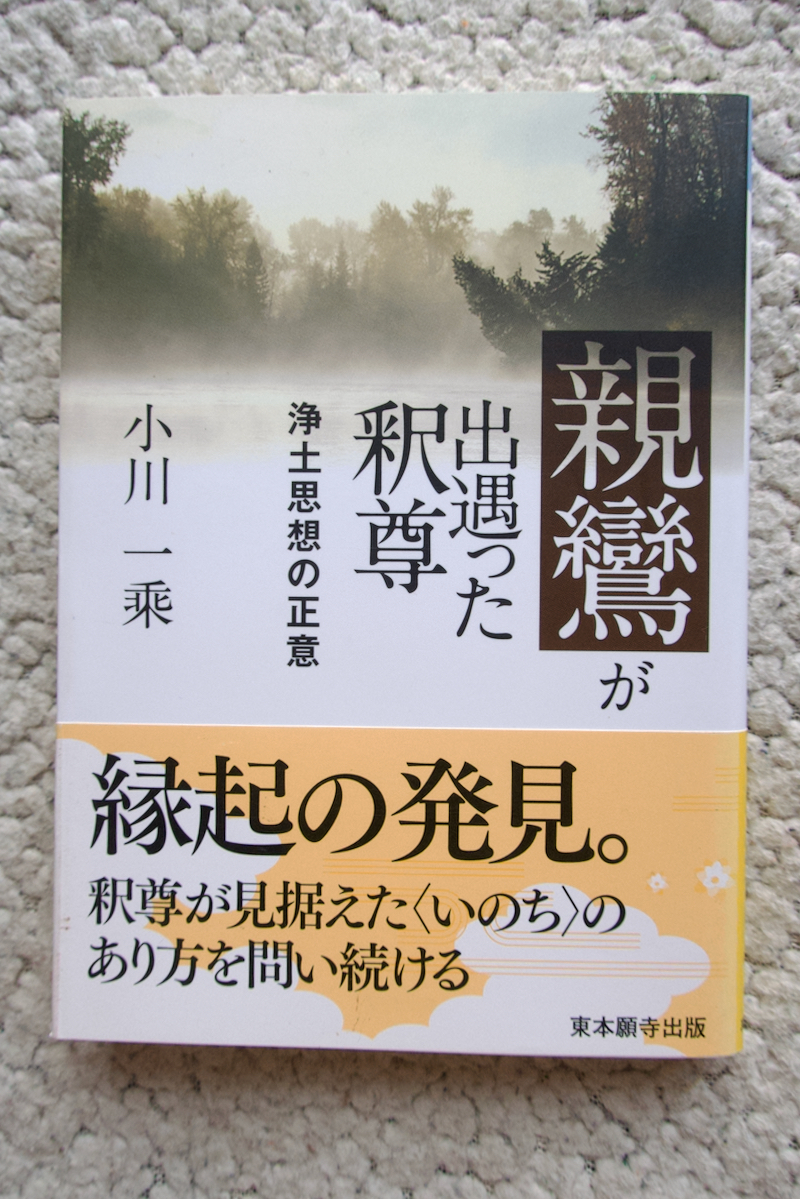 親鸞が出遇った釈尊 浄土思想の正意 (真宗文庫) 小川一乘拍卖