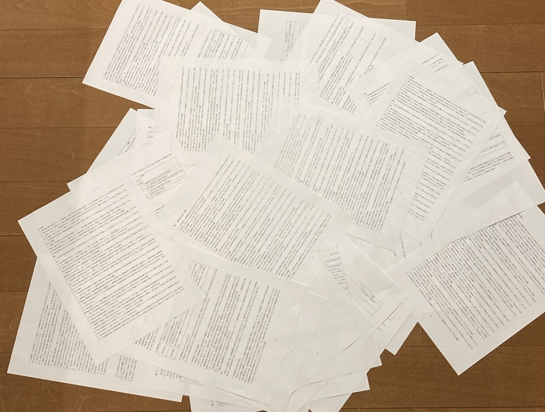 ◆紙印刷郵送◆司法書士試験 択一式◆重要集◆5科目拍卖