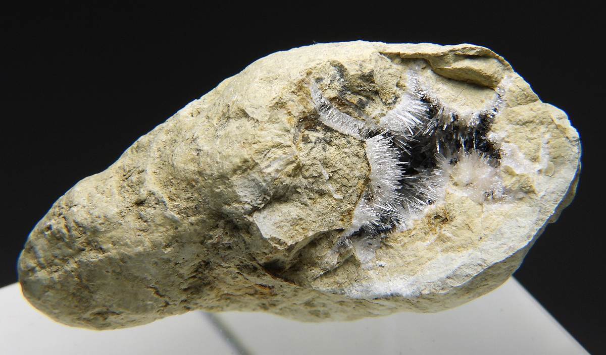 ☆☆ アラゴナイト / クトナホラ石 <イタリア> 108 ☆☆拍卖