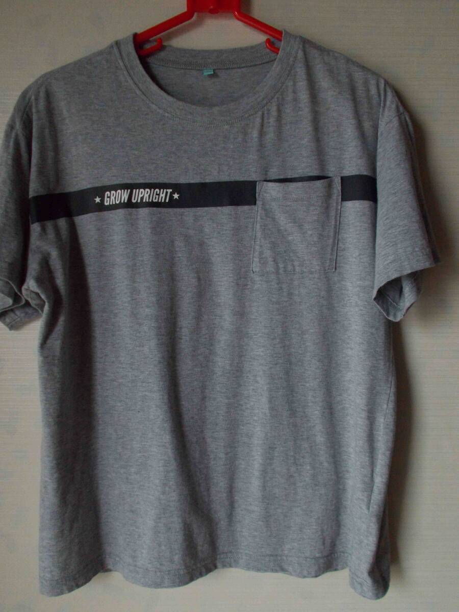 丸久 Tシャツ 半袖 160 グレー拍卖