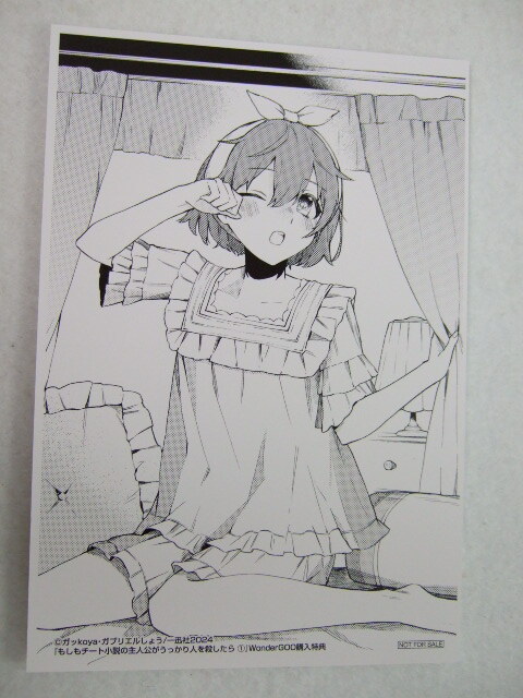ワンダーグー 限定 もしもチート小説の主人公がうっかり人を殺したら 1巻 ポストカード 240706 特典 WonderGOO 非売品 イラスト ガッkoya拍卖