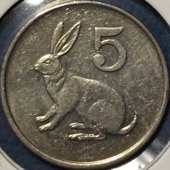 (C-579)ジンバブエ 5セント白銅貨 1999年 ウサギ ③' 拍卖