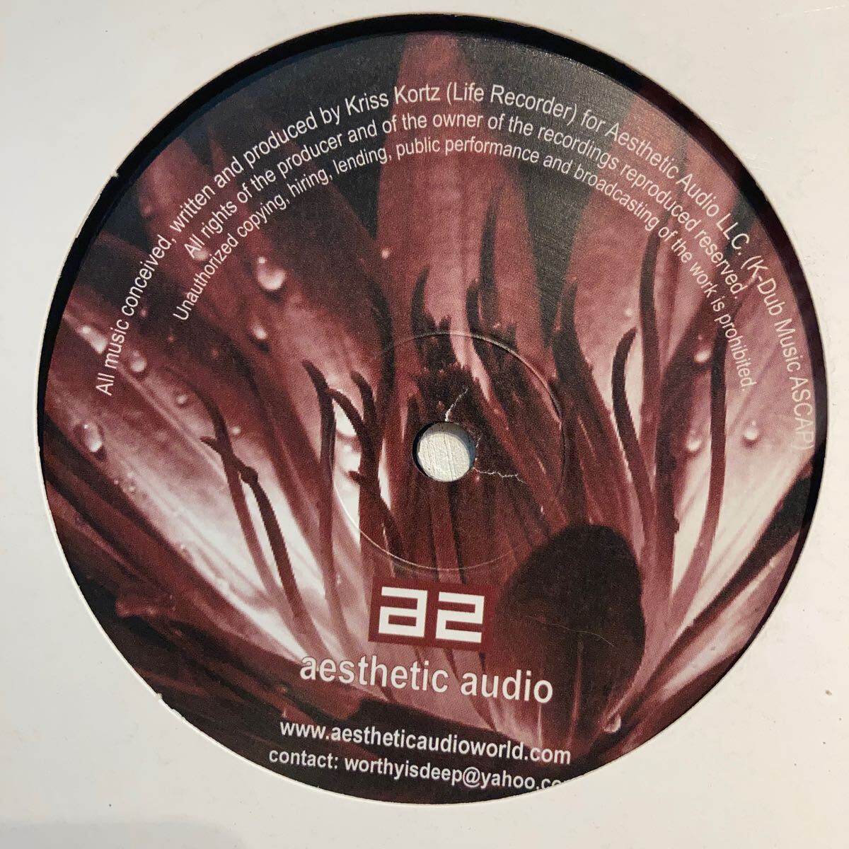 Life Recorder - No Look Back拍卖