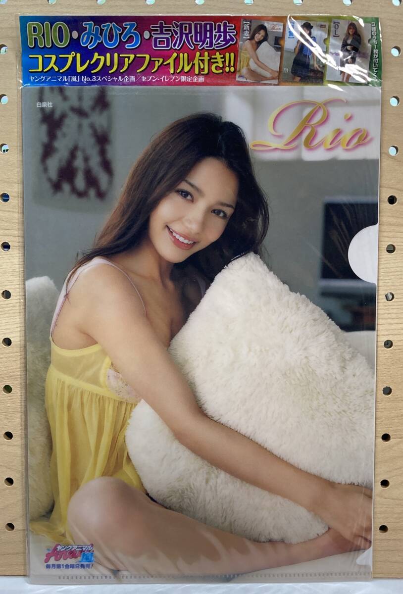 未使用未開封品 Rio B5 コスプレクリアファイル ヤングアニマル嵐No.3 セブン・イレブン限定企画 付録 当時物 現状品拍卖