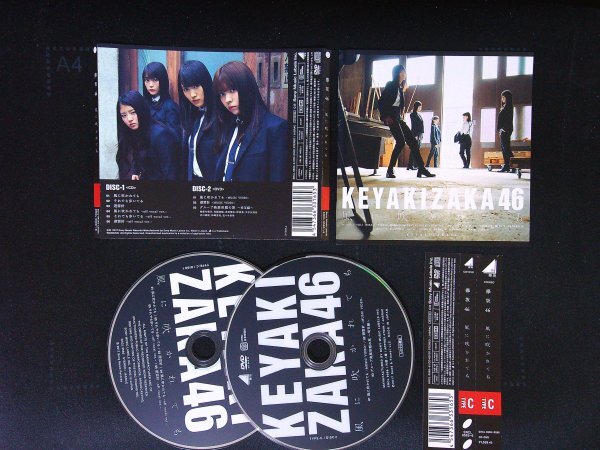 風に吹かれても Type-C CD DVD付 欅坂46 即決 送料200円 703拍卖