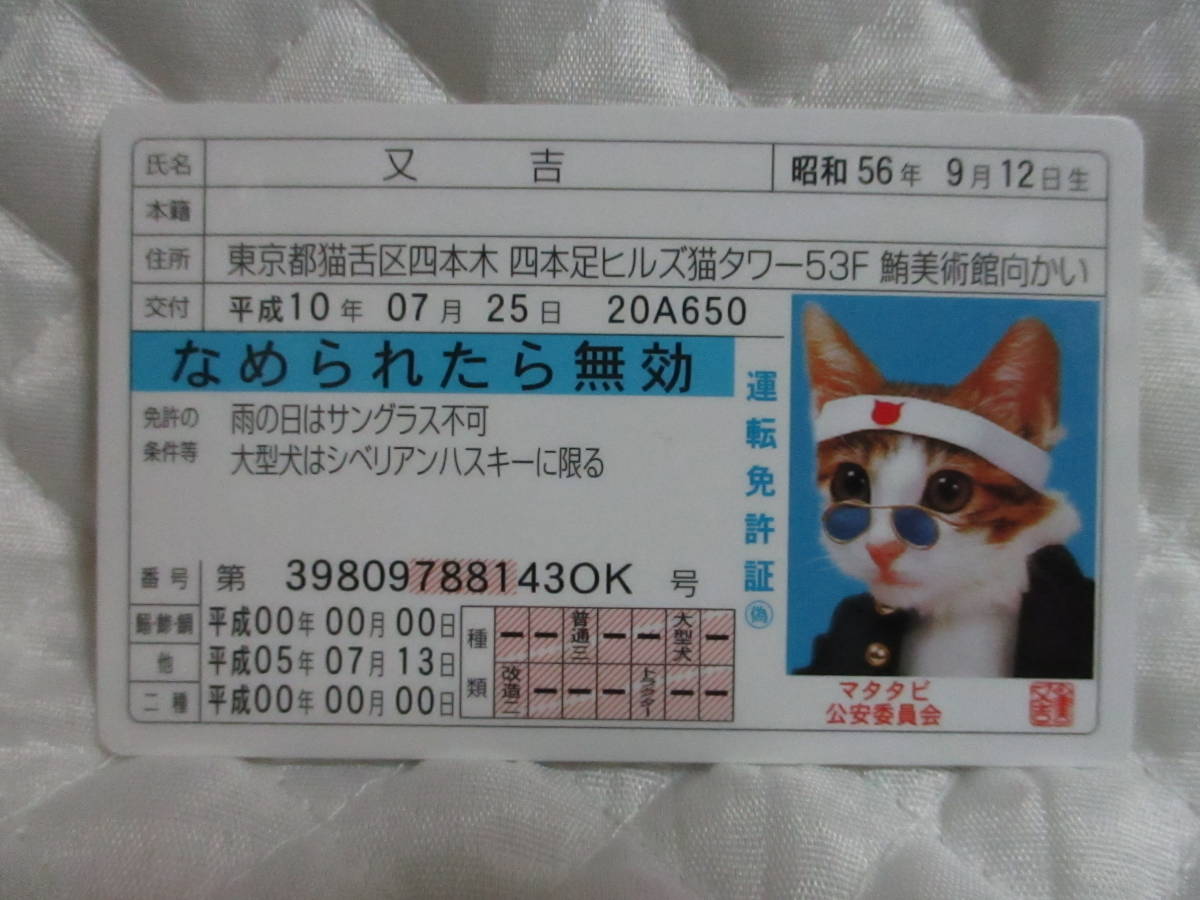 【 なめ猫 又吉 】 免許証 なめられたら無効 ブルー 新品 即決 なめんなよ ★ なめ猫同梱検索拍卖