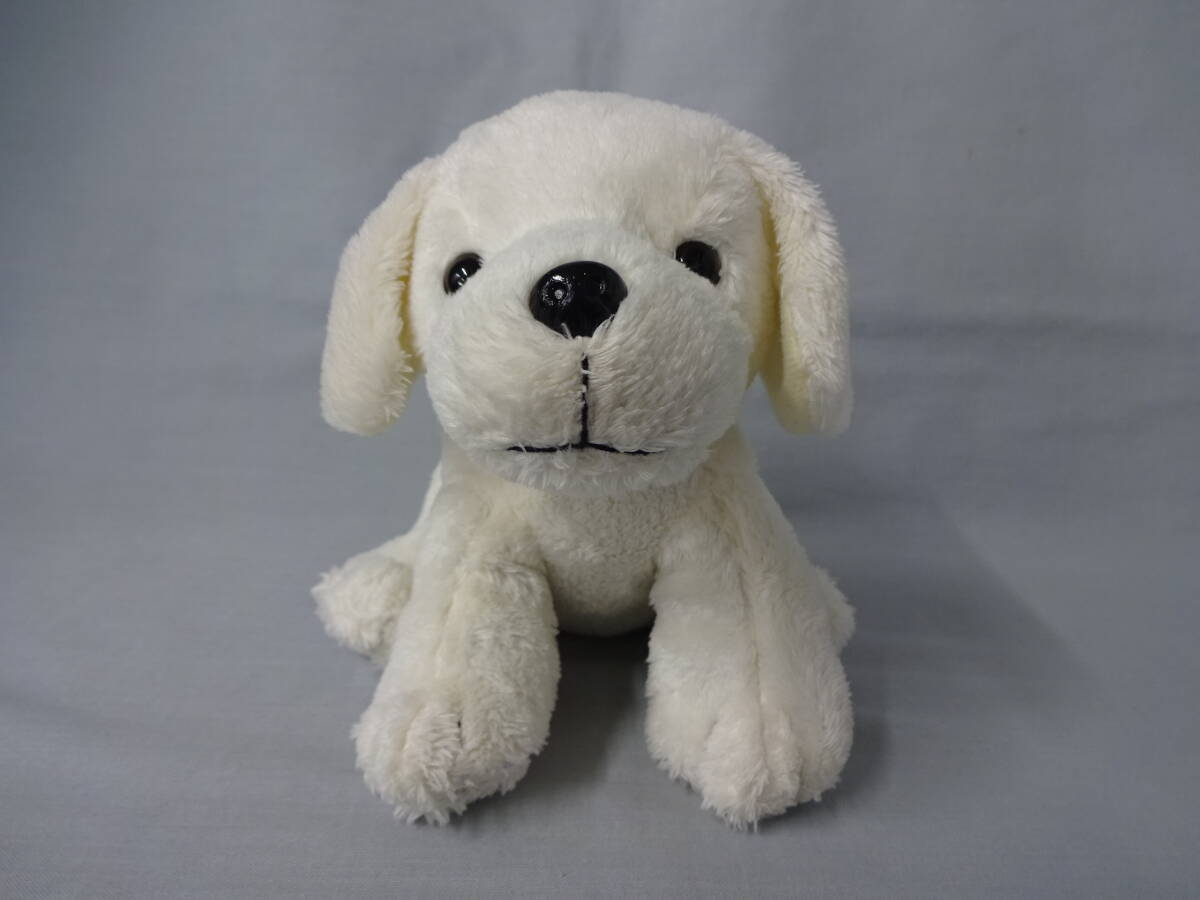 ゴールデンレトリバー レトリバー イヌ いぬ 犬 ぬいぐるみ 白 座高16cm お座り拍卖