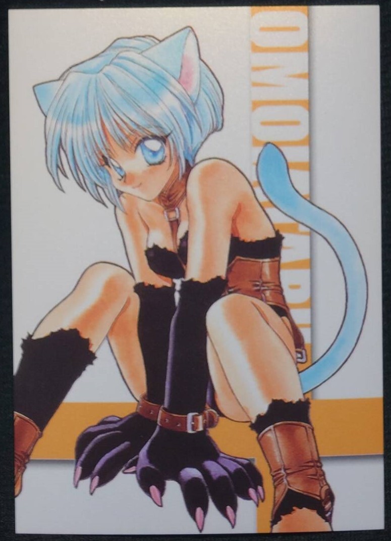 ★思い当たる 想いCARD「030」カード 98/6 トレカ トレーディングカード 未来蜂歌瑠多商会★拍卖