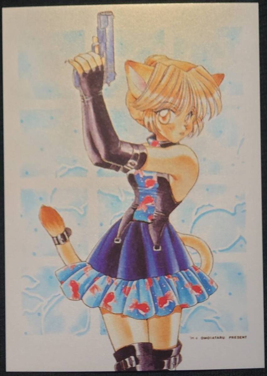 ★思い当たる 想いCARD「029」カード 97/6 トレカ トレーディングカード 未来蜂歌瑠多商会★拍卖