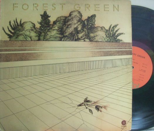 3枚で送料無料【米Capitol】Forest Green/Same拍卖