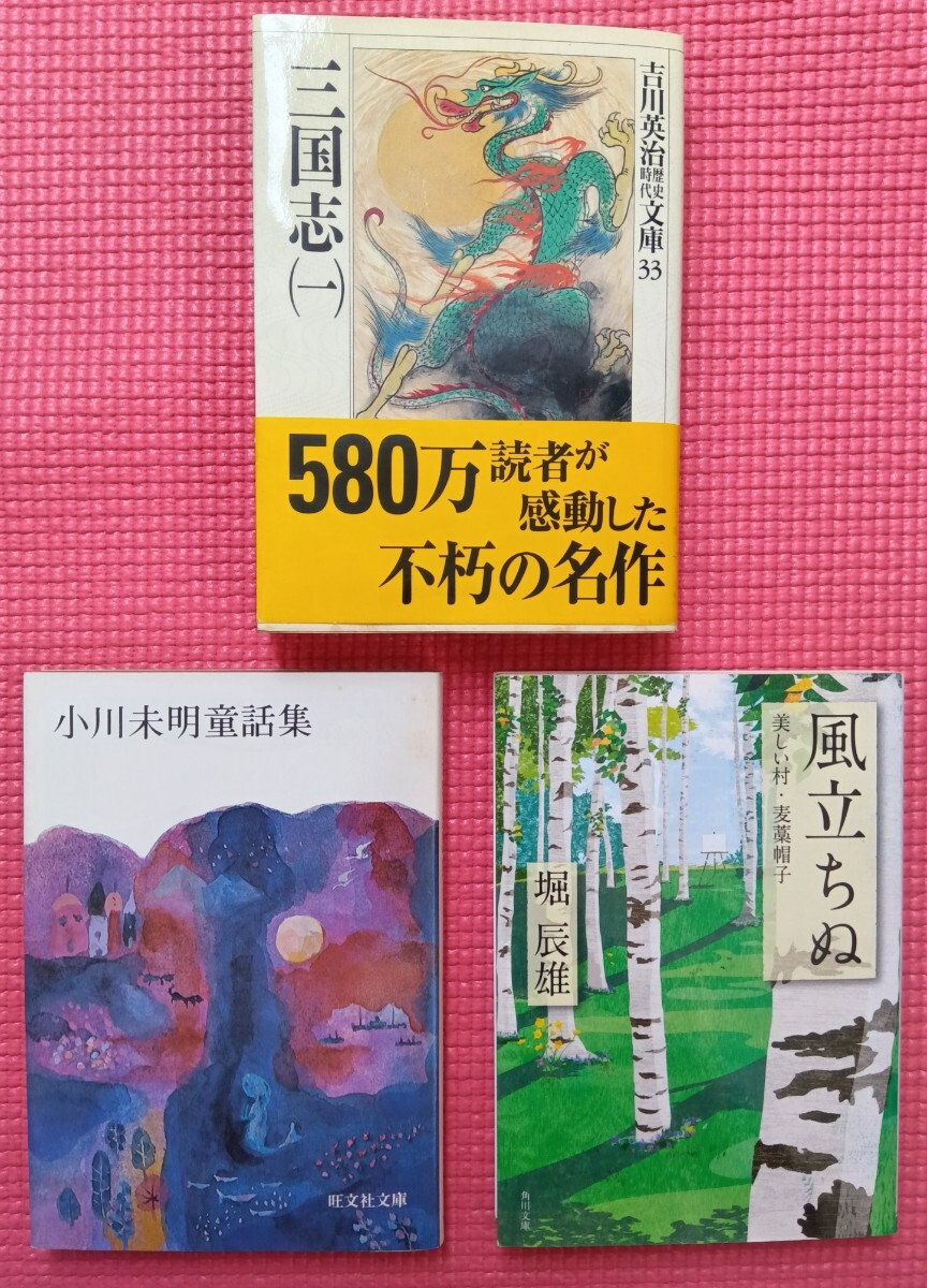 文庫本3冊セット 送料無料 ゆうパケットポスト拍卖