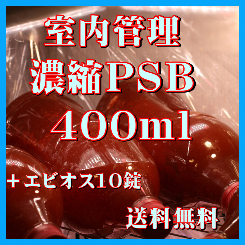 ★送料無料★ 室内管理濃縮培養PSB400ml+エビオス10錠 光合成細菌 水質調整、バクテリア、めだか・金魚・熱帯魚などに最適。拍卖