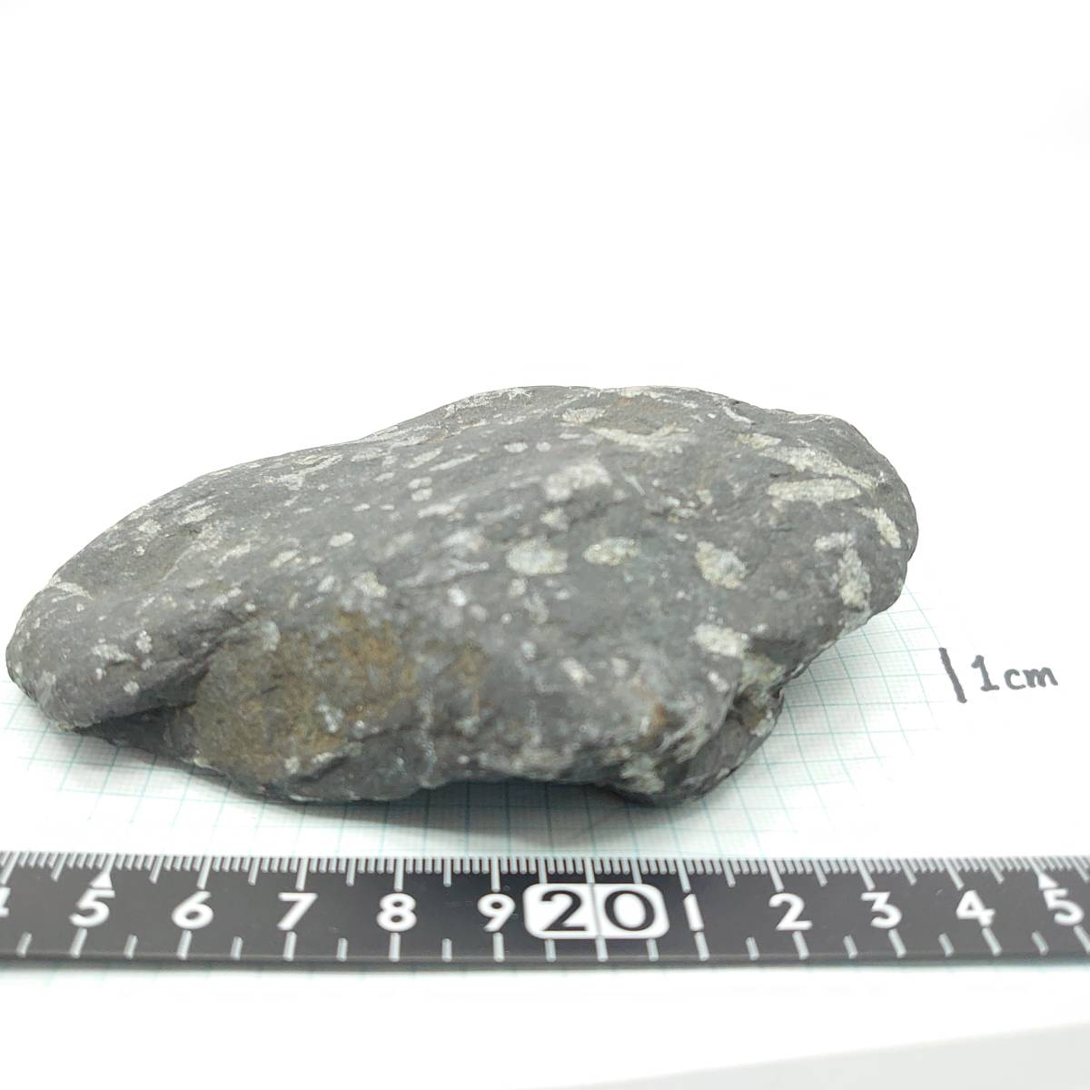 ☆特価☆ 【鑑賞用】栃木県足尾産【桜石】◆448g◆拍卖