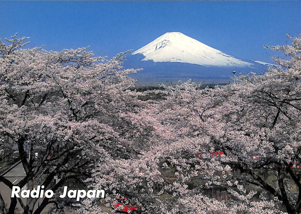 ①BCL★希少ベリカード★ラジオ・ジャパン+おまけ★National★500mW・CBトランシーバー★RJ-330★原寸大・印刷済TG付 拍卖