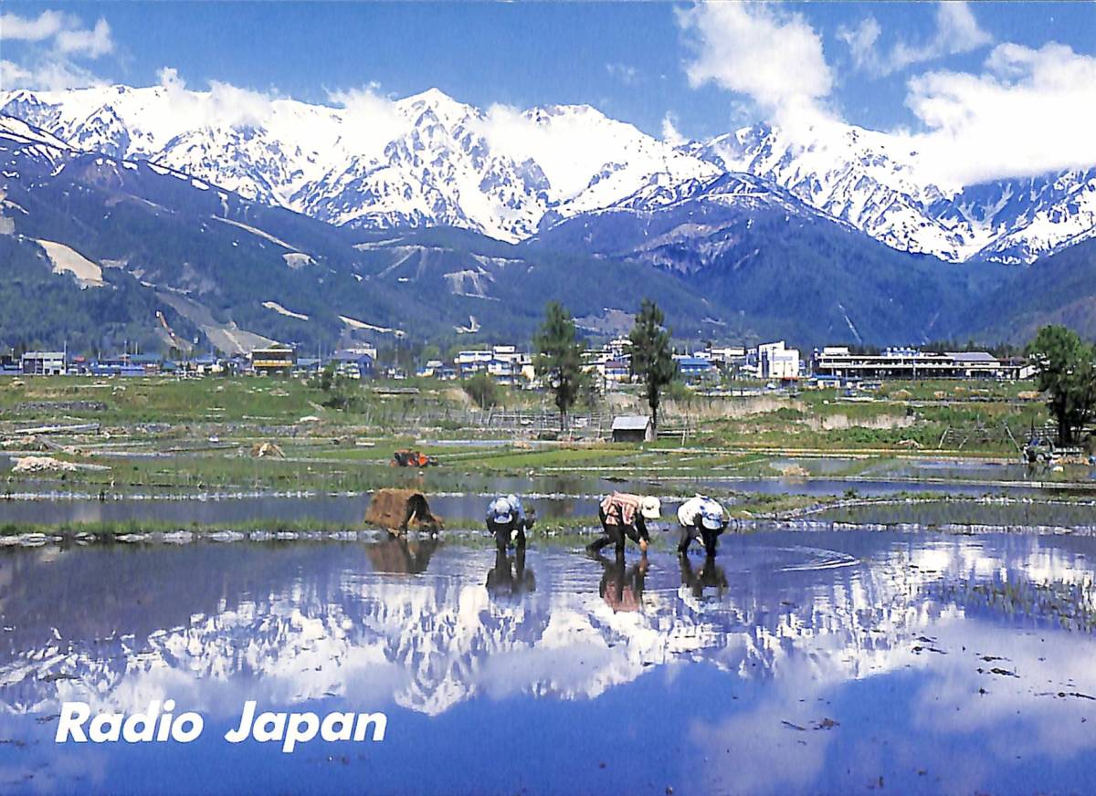 BCL★希少ベリカード★ラジオ・ジャパン★RADIO JAPAN+おまけ★SONY★ソニー★ICF-6800カラーサービスガイド+追加版1+追加版2付拍卖