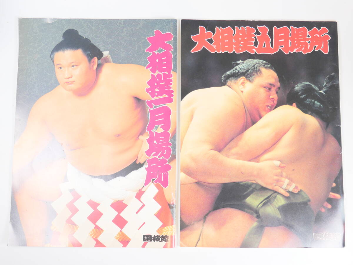 ♪当時物★大相撲 1994年5月場所 1995年1月場所 国技館 パンフレット 2冊 若貴/曙/武蔵丸拍卖