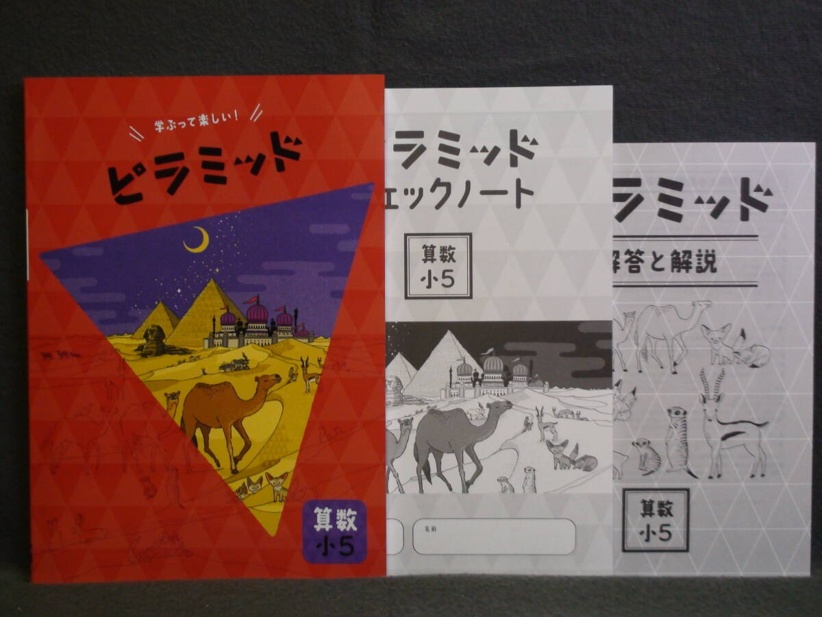 ★ 即発送 ★ 新品 最新版 ピラミッド 算数 小5 解答・確認テスト付 5年拍卖