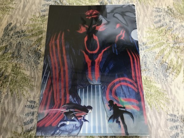 229クリアファイル 劇場版 ソードアート・オンライン -プログレッシブ- 冥き夕闇のスケルツォ 前売り特典 アスナ キリト拍卖