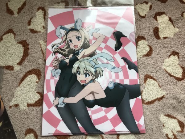 100クリアファイル ストライクウィッチーズ ブレイブウィッチーズ HS ホビーストック限定 バニー サーシャ ニパ 島田フミカネ拍卖