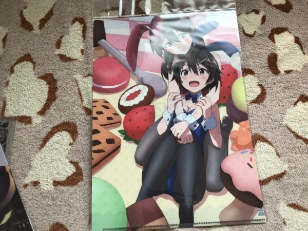 100クリアファイル ストライクウィッチーズ ブレイブウィッチーズ HS ホビーストック限定 バニー ひかり 孝美 島田フミカネ拍卖