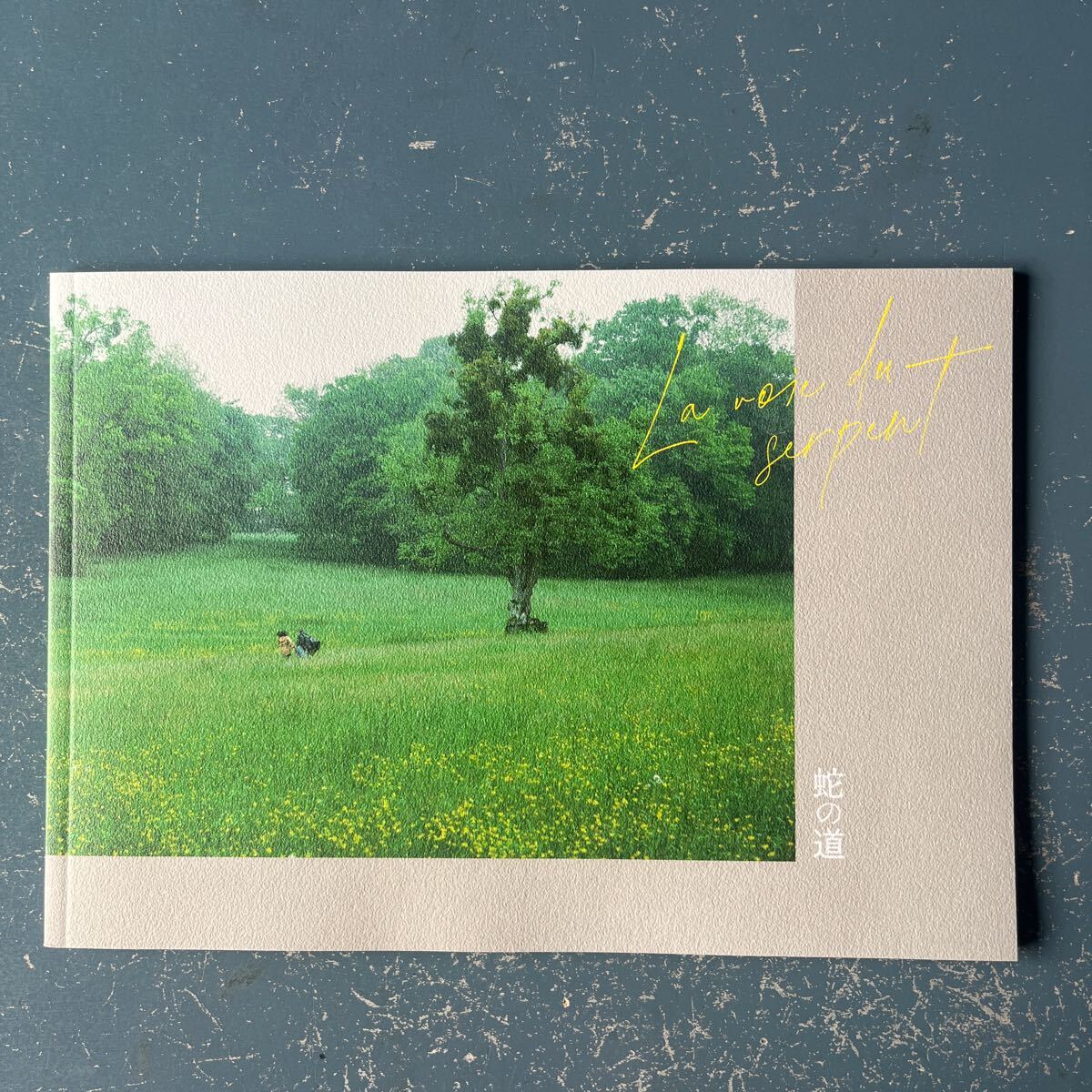 映画パンフ 蛇の道 黒沢清 柴咲コウ 西島秀俊 清水崇高 ダミアン・ボナール マチュー・アマルリック拍卖