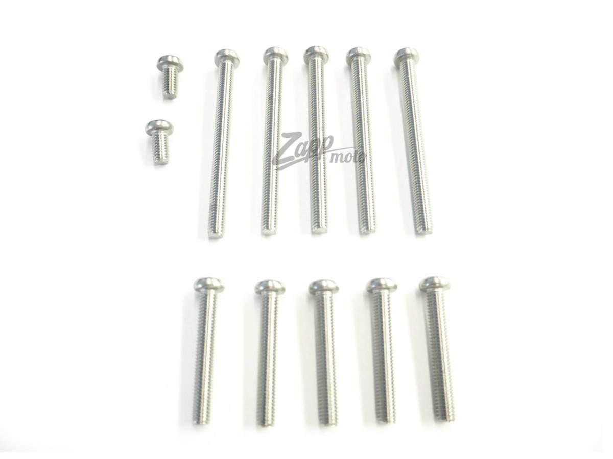 ◆◇新品 リプロ◇◆W1 W1S フロントチェーンケースカバー 止めネジセット KAWASAKI カワサキ拍卖