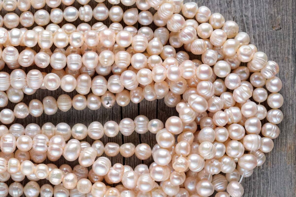 * 淡水パールA拍卖