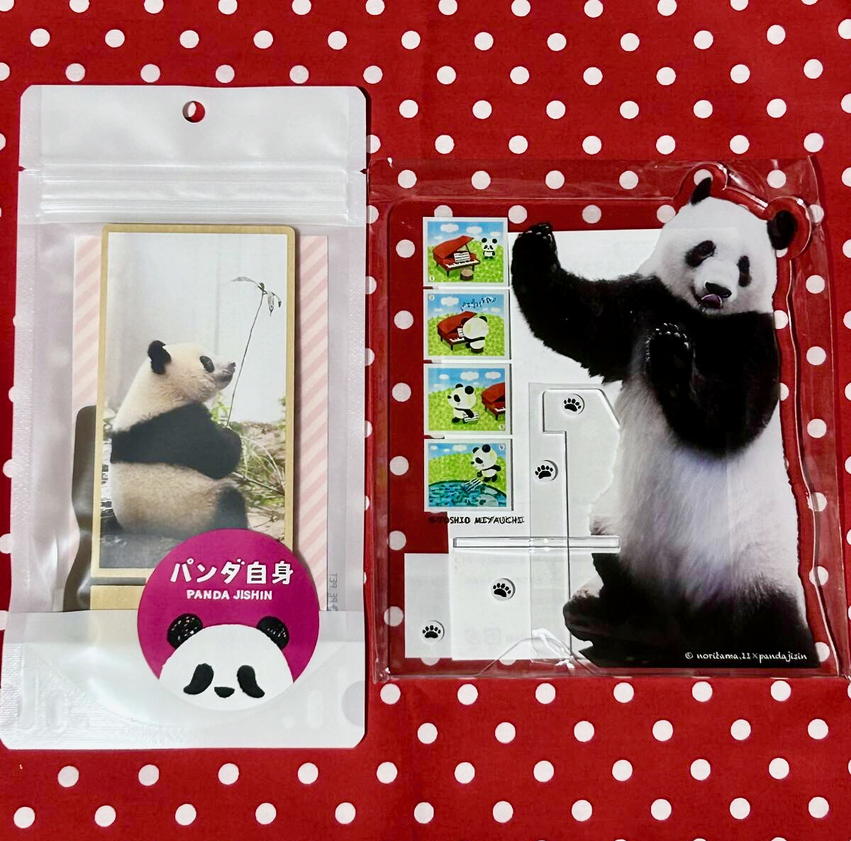 【パンダ自身フェス】シャンシャン ハイタッチシャンのルンルン♪アクリルスマホスタンド&お座りちびシャン木製携帯スタンド 松坂屋上野拍卖
