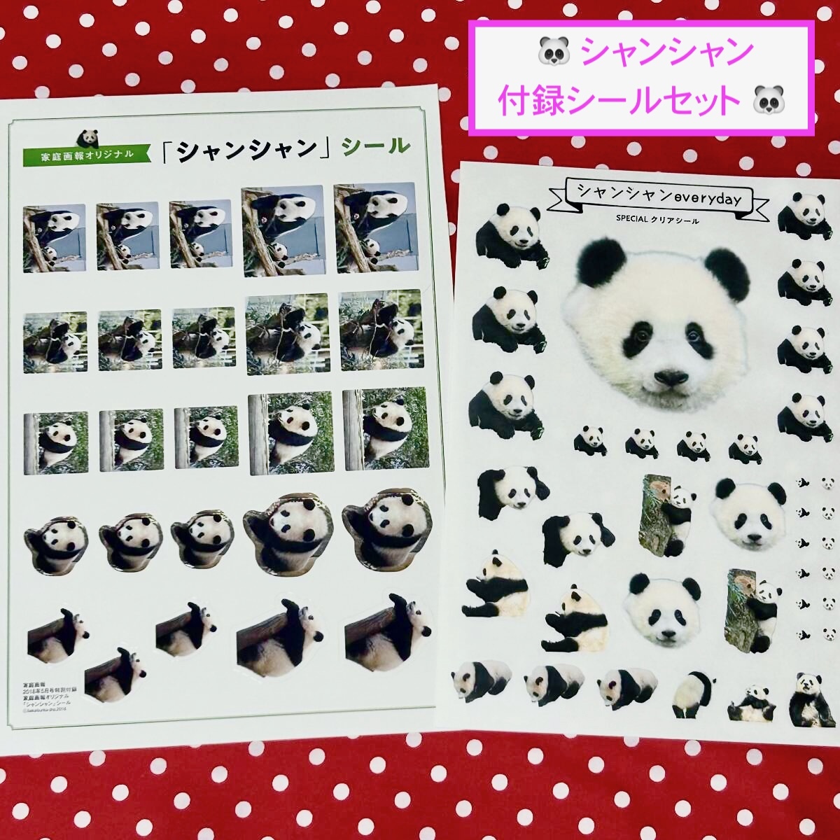 【シャンシャン 付録シール 2種セット】 家庭画報 シャンシャンeveryday 香香 上野動物園 ジャイアントパンダ ステッカー 拍卖