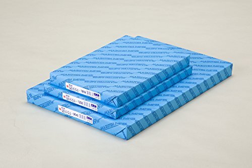 (まとめ買い)ゴークラ 雪だるま画学紙 8切 #165 100枚 Y-1658 00405844 〔×3〕拍卖