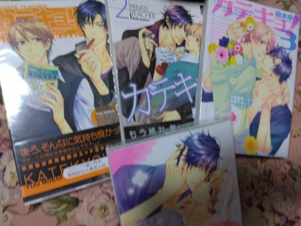 即決★BLC萌木ゆう「カテキョ!1~4」drapコミックス拍卖