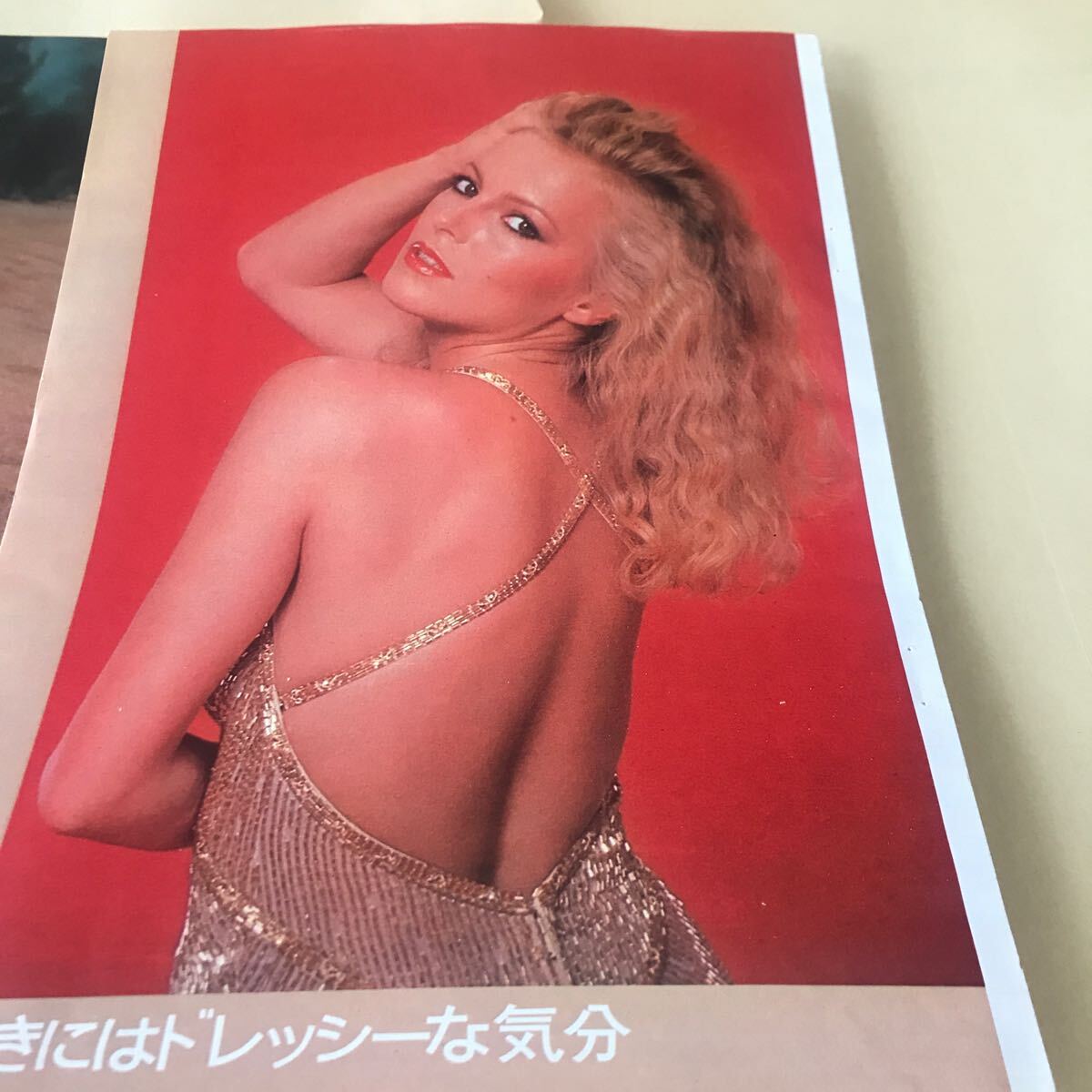 シェリルラッド、デビッド・ラッド【愛のプレリュード】ピンナップ、ラブショット 説明必読 BKHYSR9802袋拍卖