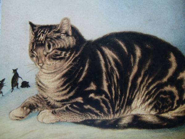送料無料、希少画集画、高級新品額・額装付、猫 ネコ ねこ cat、絵画 油彩画 動物画、26、maca拍卖
