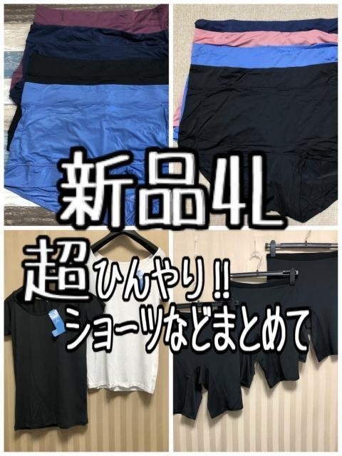 新品☆4L♪超ひんやり♪ショーツ8枚&インナー2枚&3分丈ボトム3枚♪総額1.5万円相当☆a925拍卖