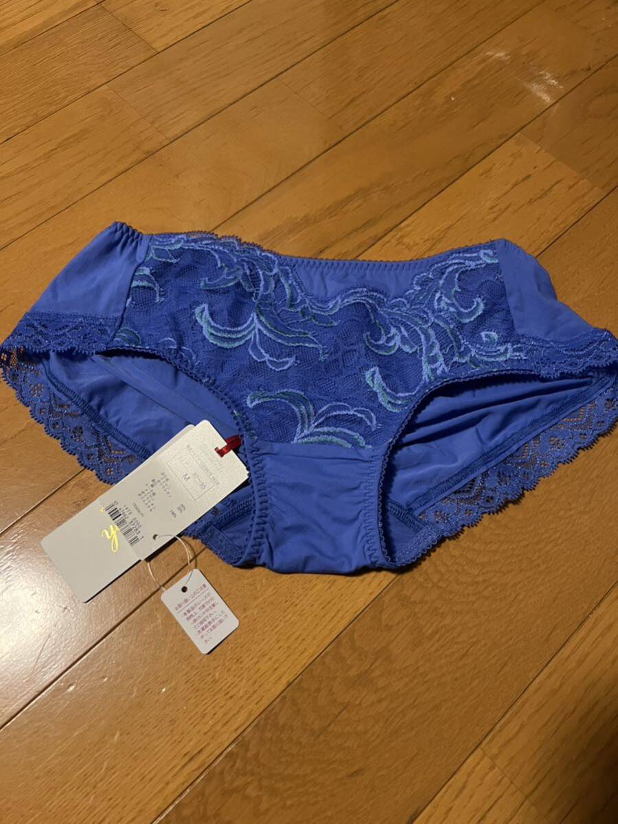 triumph トリンプ TR3050PT ショーツ プレミアムゴールドレーベル 青色 新品未使用です。Mヒップハング拍卖