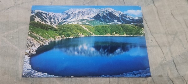 2357 絵葉書 国立公園 立山・黒部アルペンルート みくりが池と立山 裏面スタンプ入り拍卖
