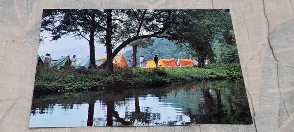 2428 絵葉書 支笏湖 モーラップキャンプ場拍卖