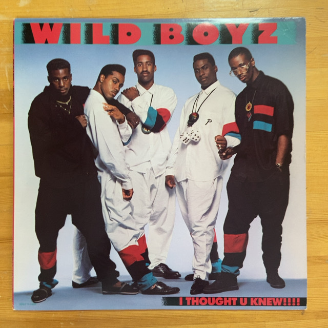 THE WILD BOYZ I THOUGHT U KNEW!!!! 12インチ シングル拍卖