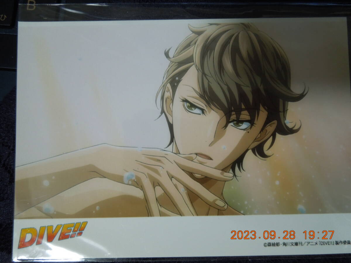 DIVE!! ブロマイド / 富士谷要一 / 森絵都拍卖