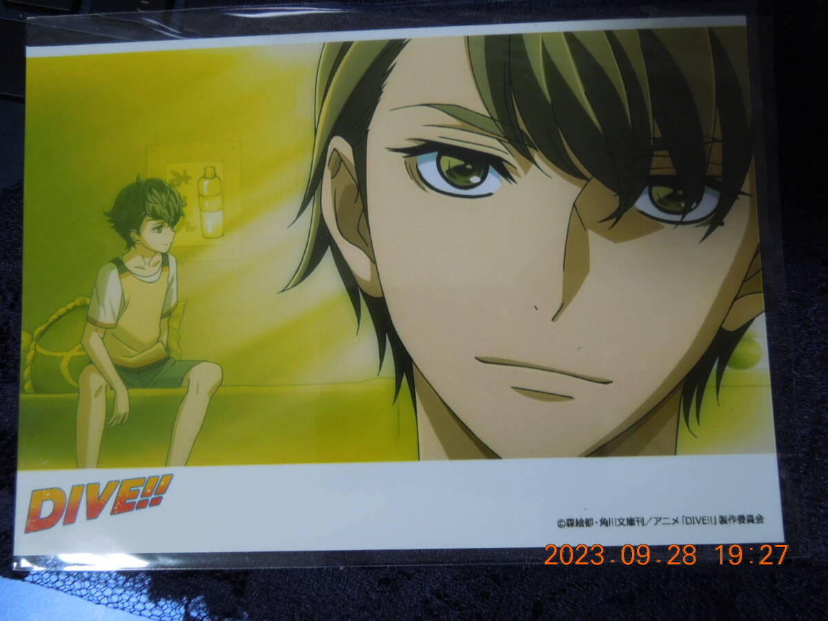 DIVE!! ブロマイド / 富士谷要一 ② / 森絵都拍卖